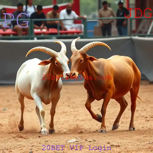 Rinha de galos
